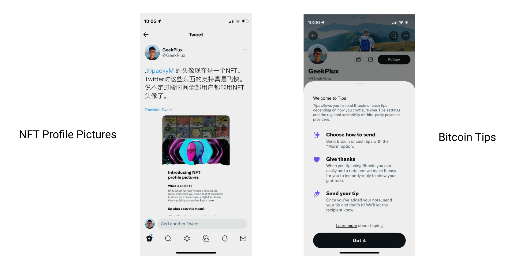 twitter_nft_profile_bitcoin_tips.png